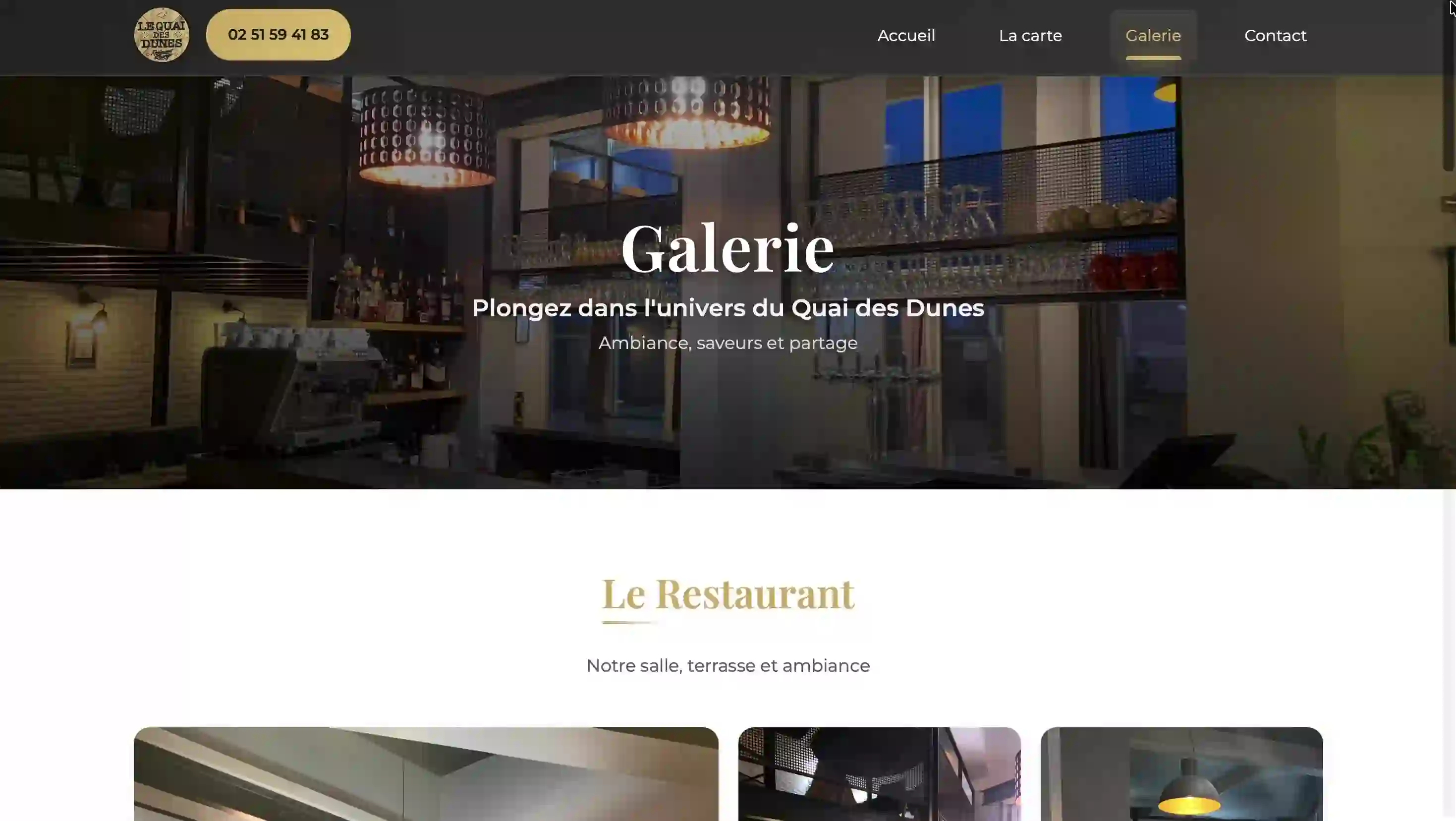 Aperçu page Galerie